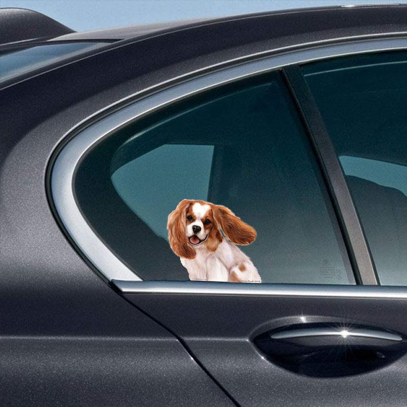 Cavalier King Charles-On The Move Window Car Sticker