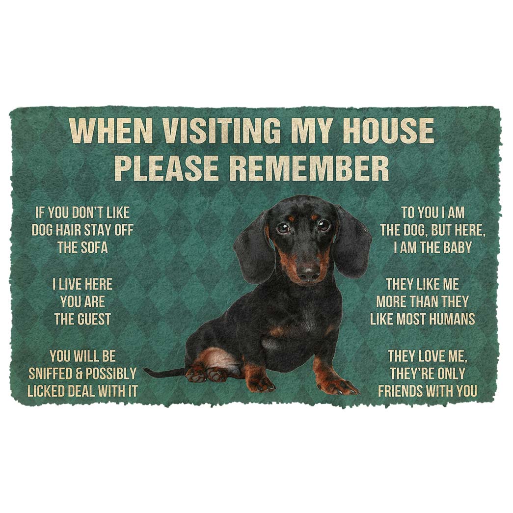 Noodever 3D Please Remember Dachshunds Puppy Dogs House Rules Doormat