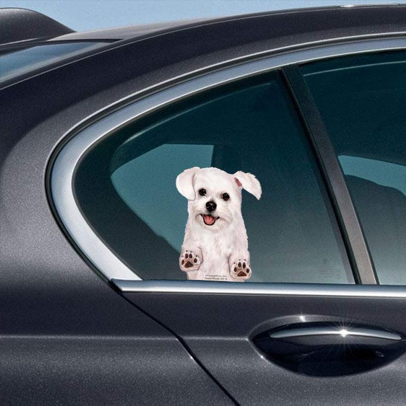 Maltese-On The Move Window Car Sticker