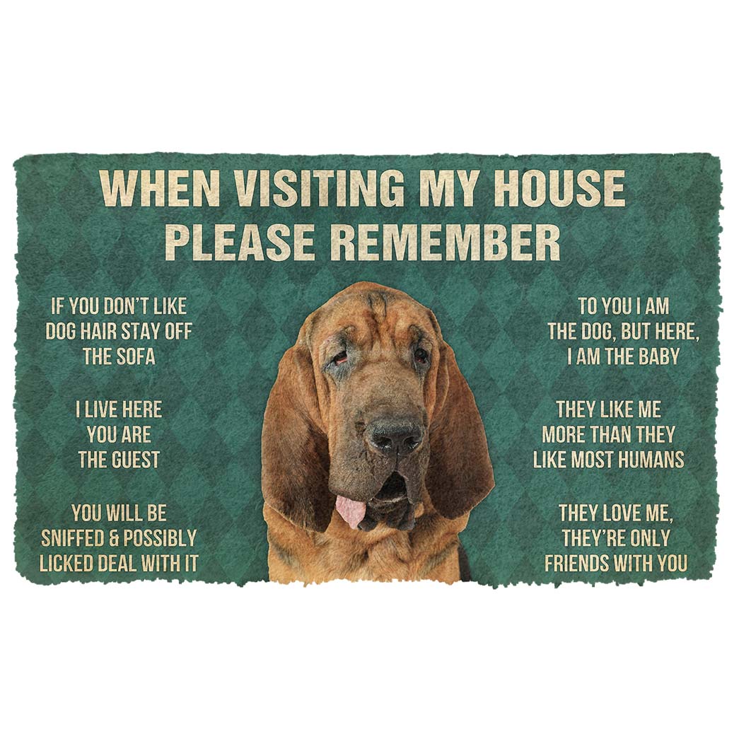 Noodever 3D Please Remember Bloodhound Dogs House Rules Doormat