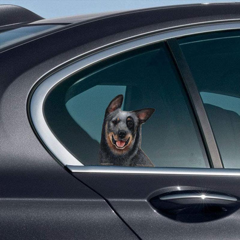 Australian Cattle Dog-On The Move Window Car Sticker