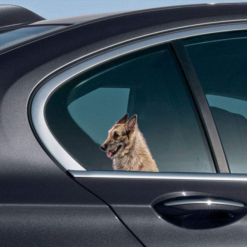 Belgian Laekenois-On The Move Window Car Sticker
