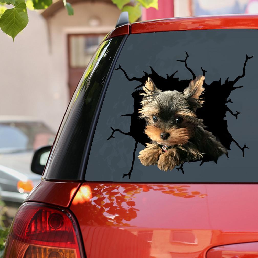 Yorkshire Terrier Car Sticker Lover 6