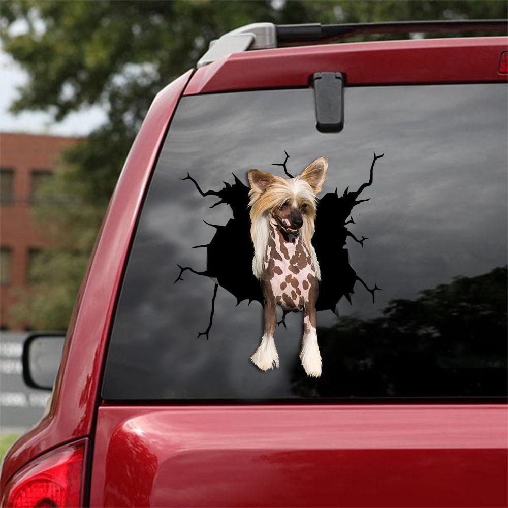 CHINESE CRESTED CRACK CAR STICKER 7
