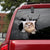 THE AMERICAN SHORTHAIR CRACK CAR STICKER CATS LOVER