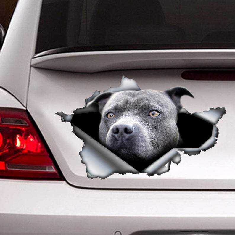 Blue pitbull BMA770 car sticker