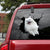 Pomeranian Crack Car Sticker, Toilet Sticker, Fridge Sticker 6