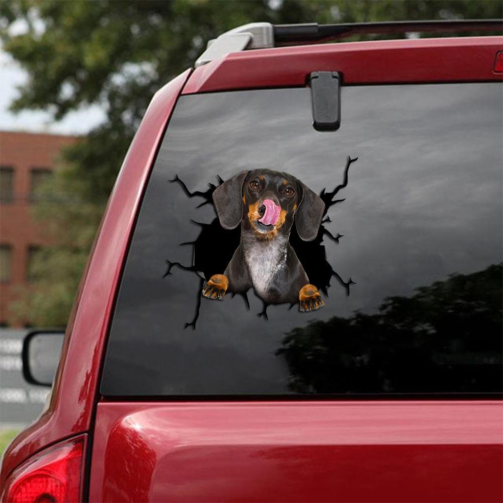 Dachshund Crack Car Sticker, Toilet Sticker, Fridge Sticker (26)