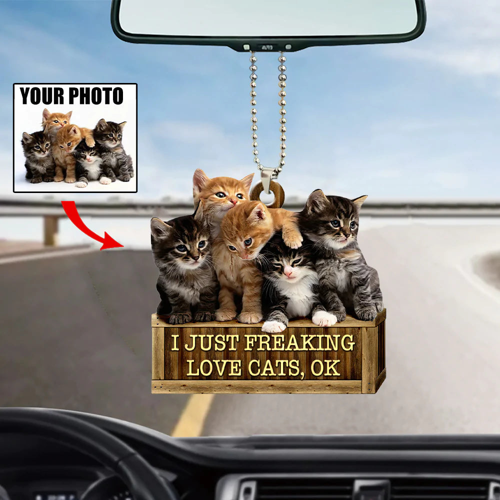 Personalized Photo Mica Ornament-I Just Freaking Love Cats/Dogs,Ok- For Cat/Dog Lover