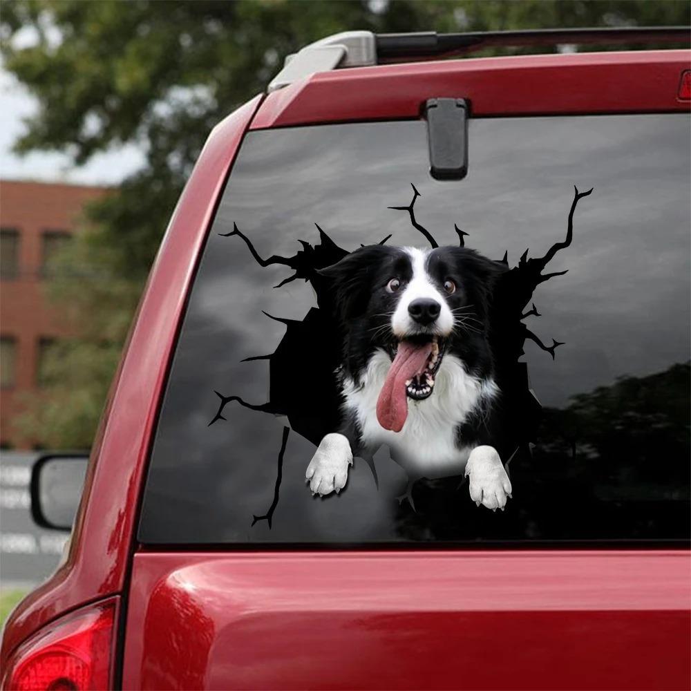 BORDER COLLIE CRACK CAR STICKER