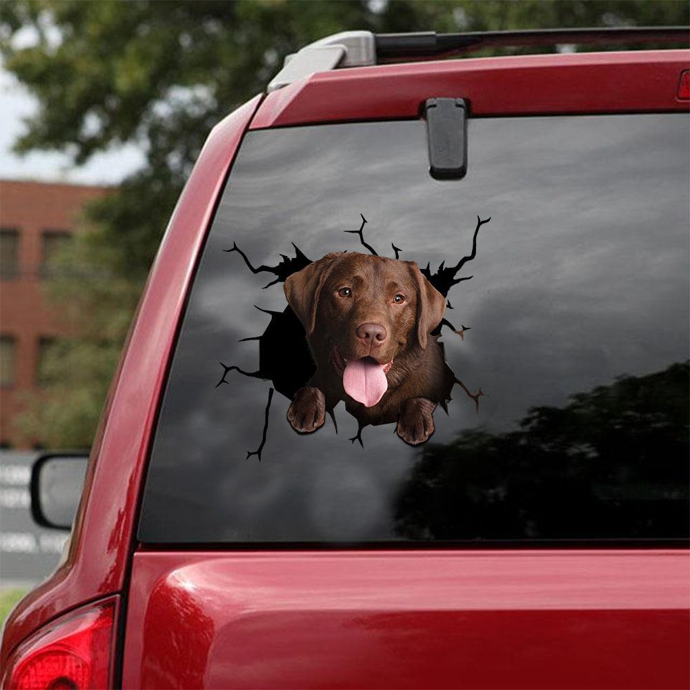 Chocolate Labrador Retriever Crack Car Sticker, Toilet Sticker, Fridge Sticker 3