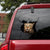 Car Sticker Cats Lover (224)