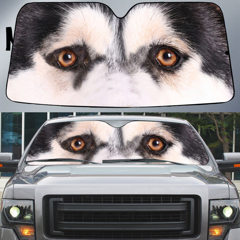 Alaskan Husky's Eyes-Beautiful Dog Eyes Car Sun Shade Cover Auto Windshield