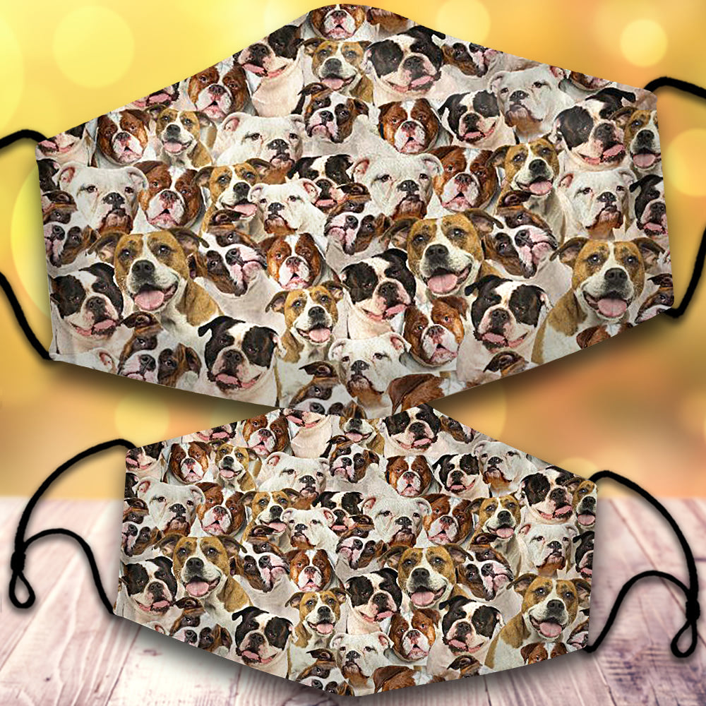 American Bulldog 1-Full Veil