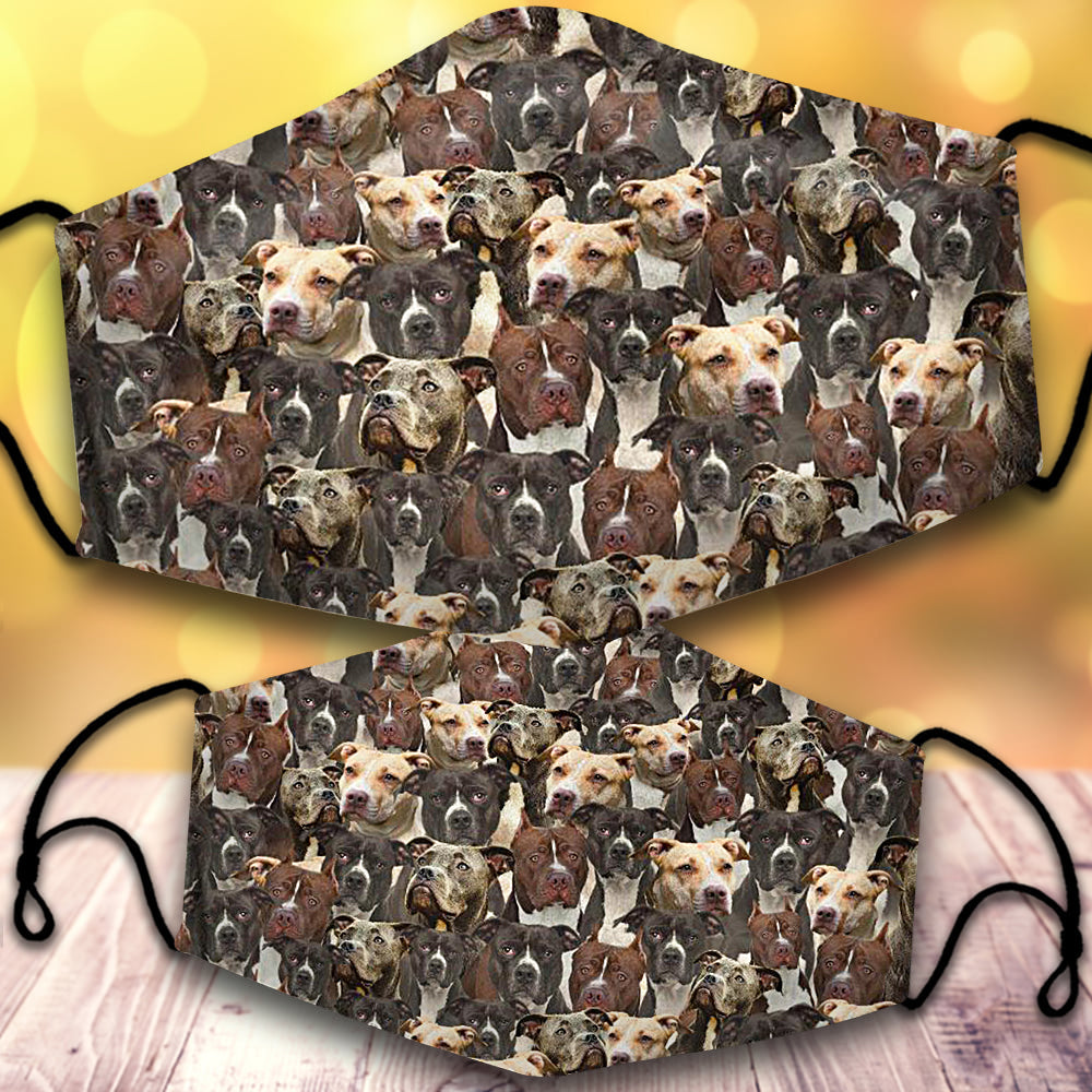 American Pit Bull Terrier-Full Veil