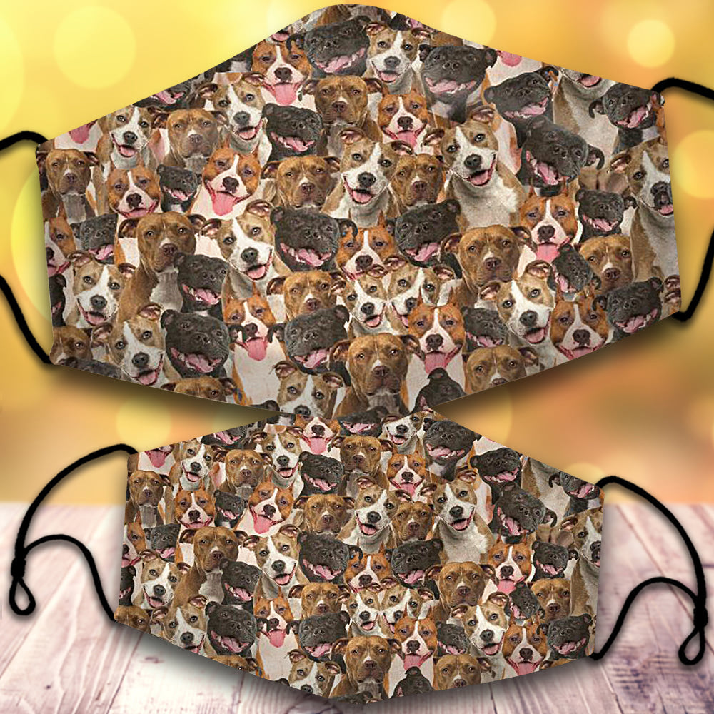 American Staffordshire Terrier-Full Veil