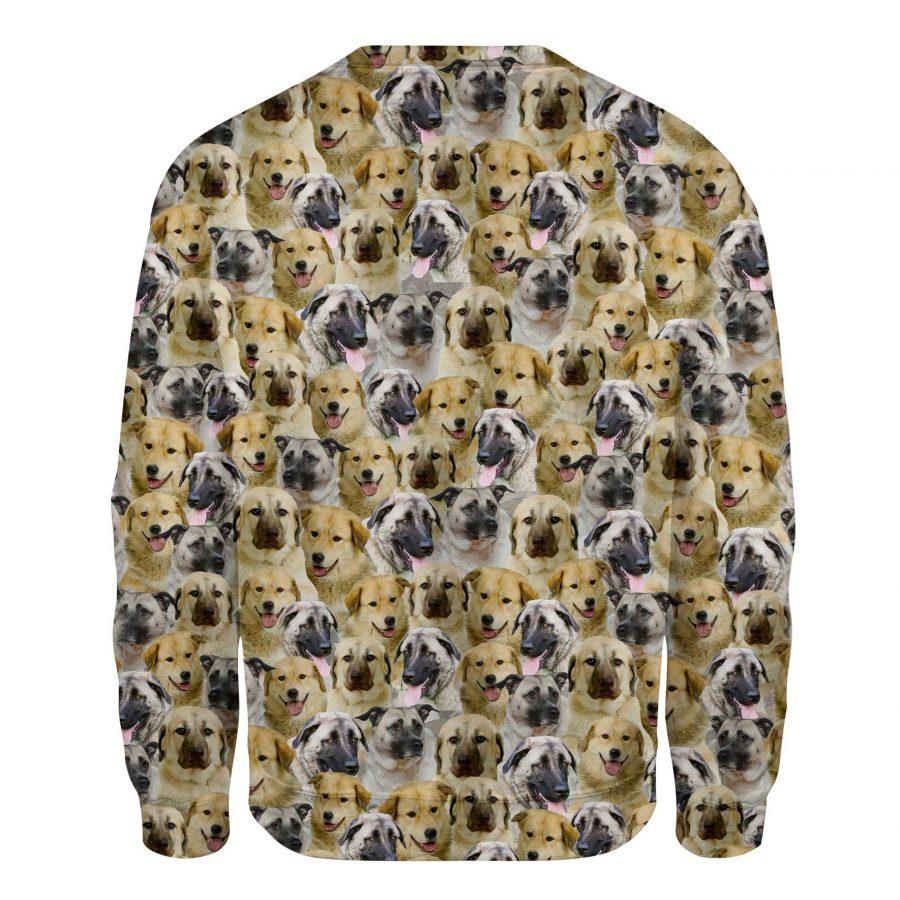 Anatolian Shepherd - Full Face - Premium Sweatshirt