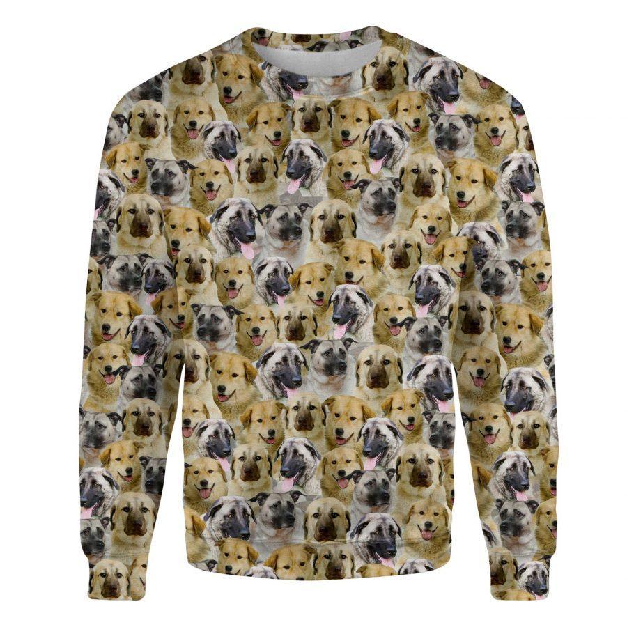Anatolian Shepherd - Full Face - Premium Sweatshirt