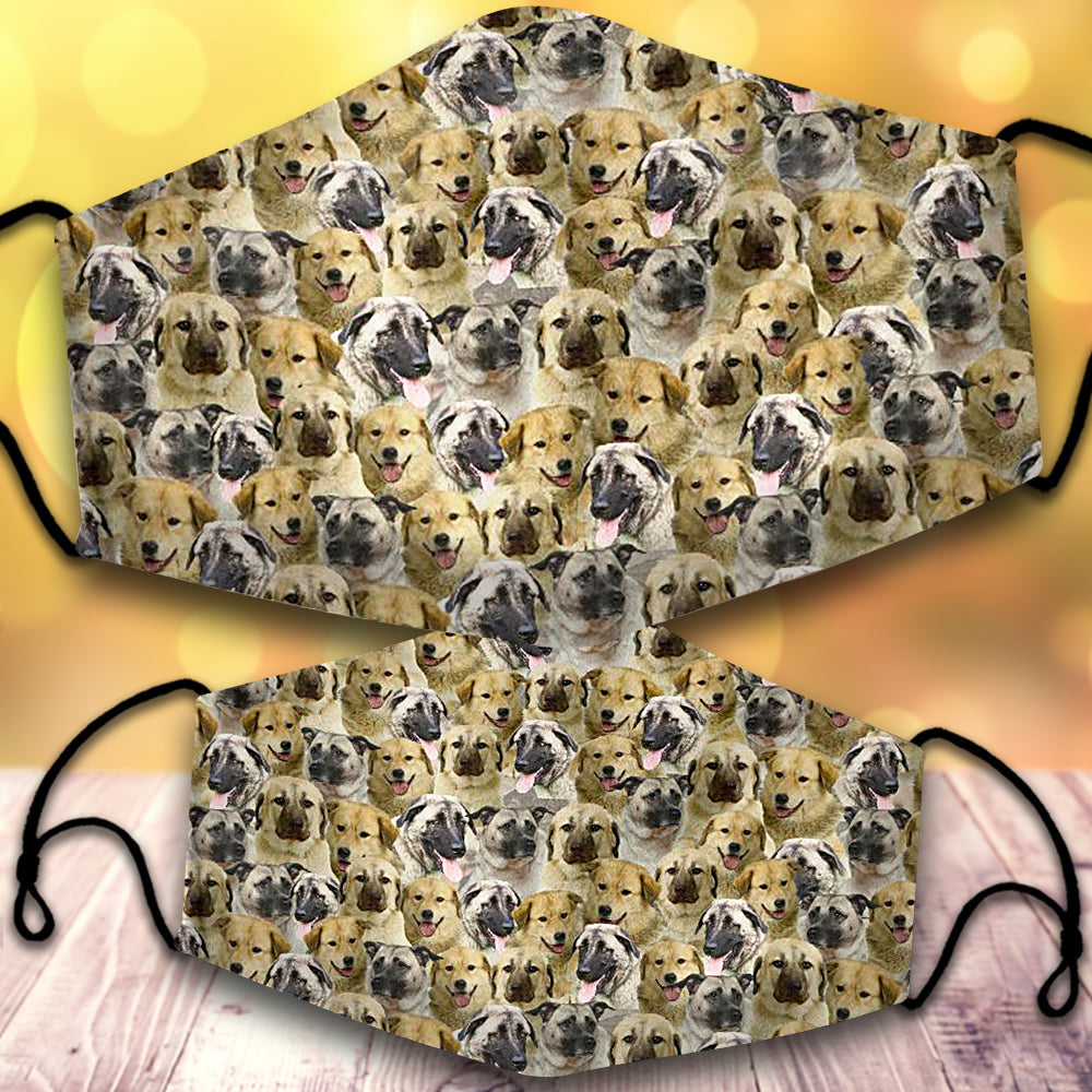 Anatolian Shepherd-Full Veil