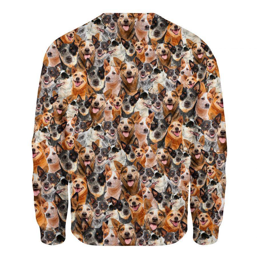Australian Cattle Dog - Full Face - Premium Sweatshirt
