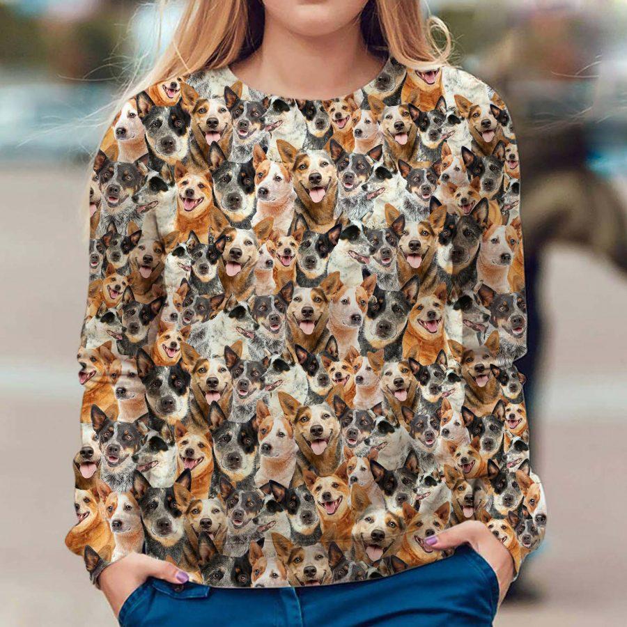 Australian Cattle Dog - Full Face - Premium Sweatshirt