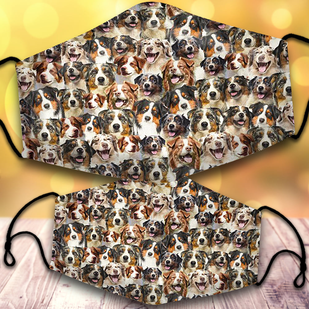 Australian Shepherd-Full Veil
