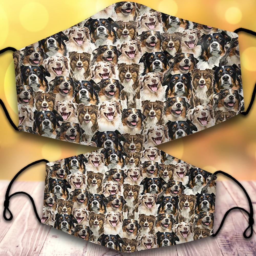 Australian Shepherd 2-Full Veil
