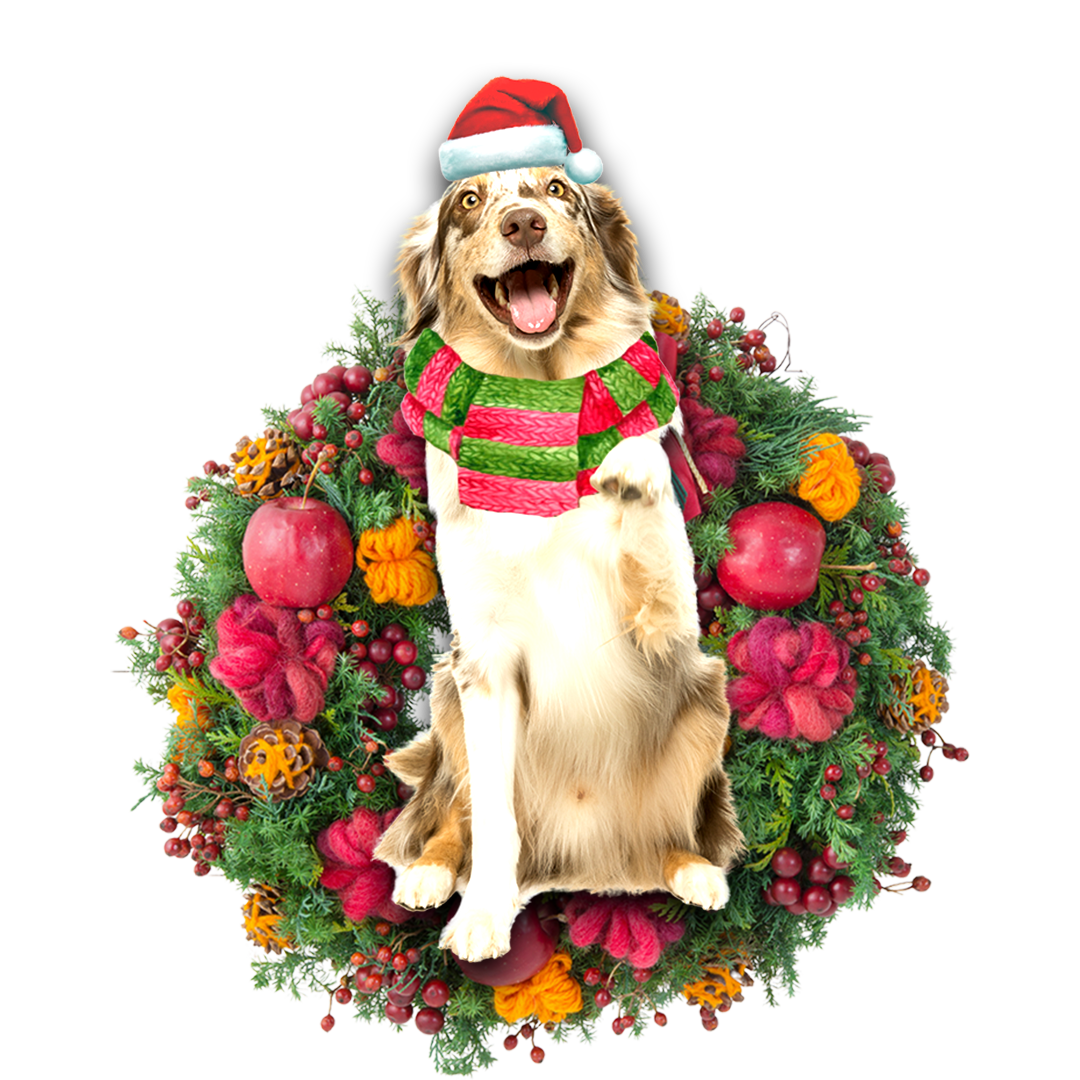 Australian Shepherd Christmas Ornament