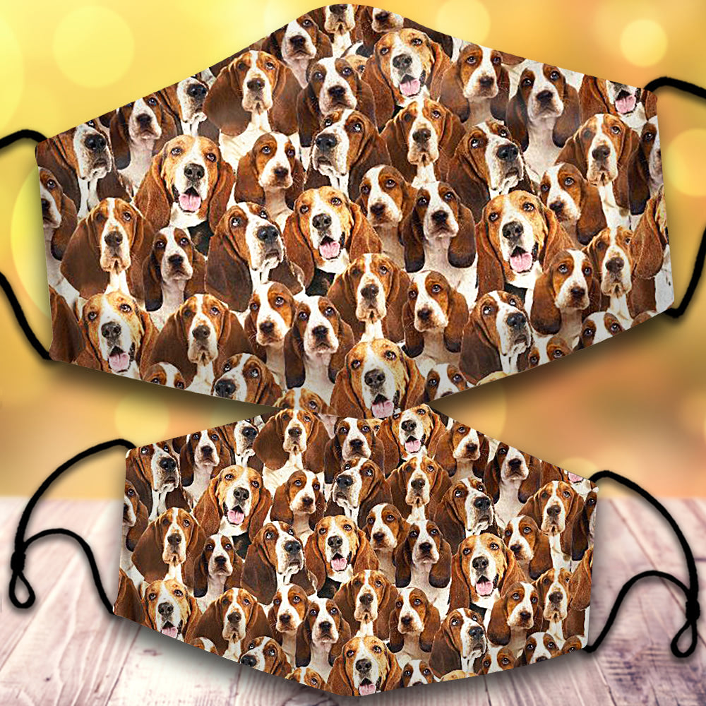 Basset Hound-Full Veil