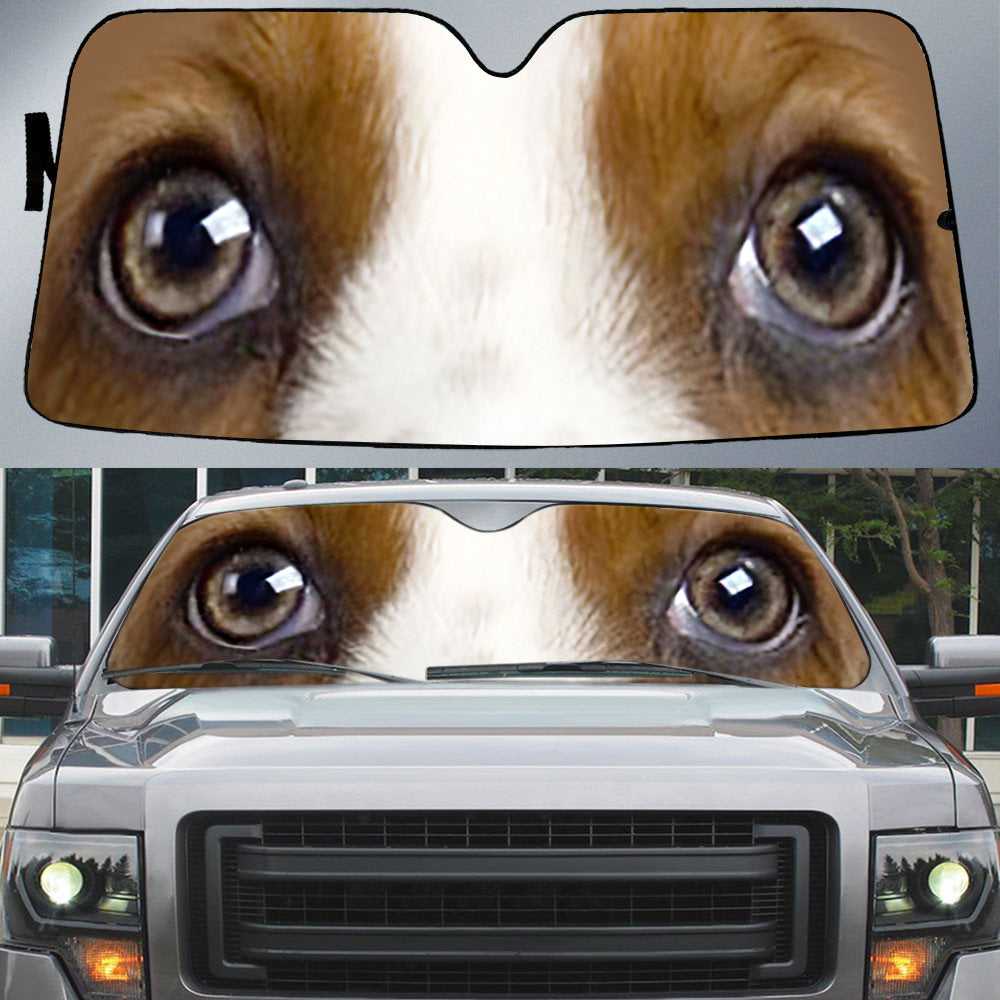 Basset Hound's Eyes-Beautiful Dog Eyes Car Sun Shade Cover Auto Windshield