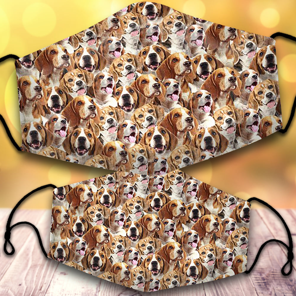 Beagle-Full Veil