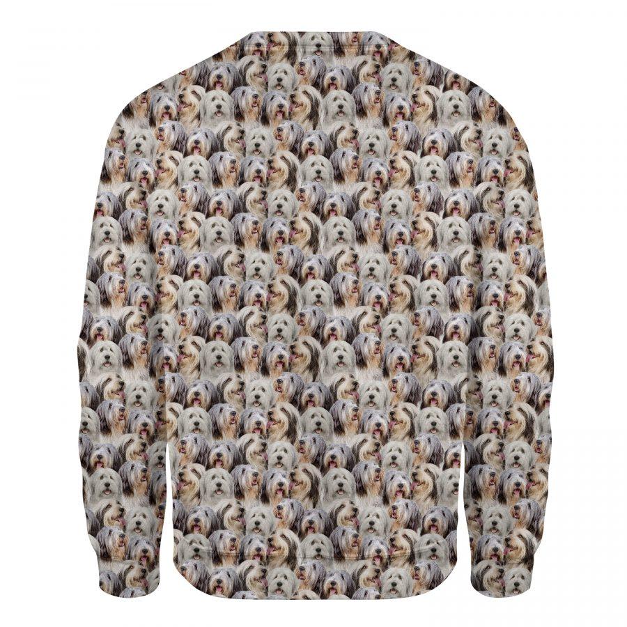 Bearded Collie - Full Face - Premium Sweatshirt