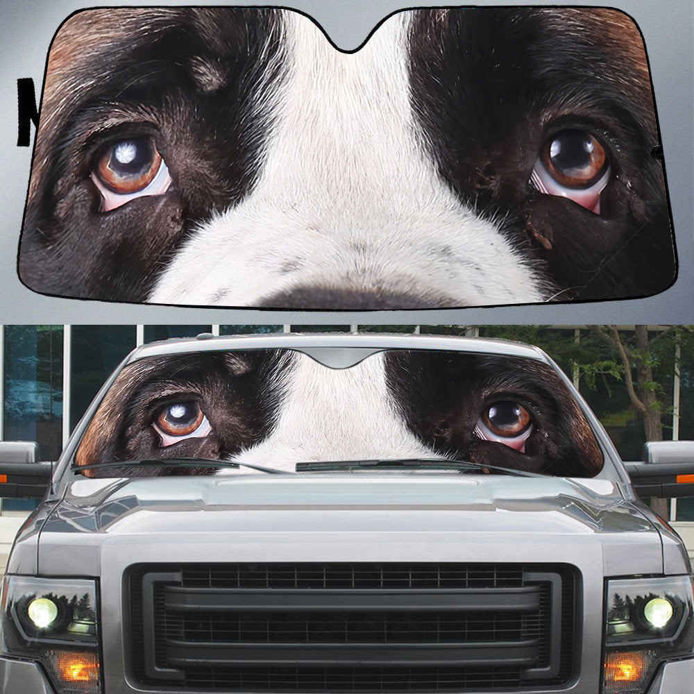 Bernard's Eyes-Beautiful Dog Eyes Car Sun Shade Cover Auto Windshield