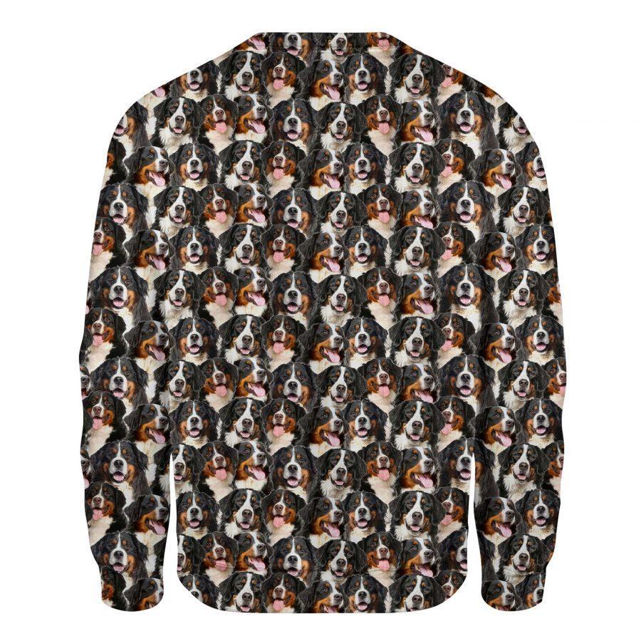 Bernese Mountain Dog - Full Face - Premium Sweatshirt