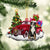 Bernese Mountain Tis The Season Two Sided Ornament