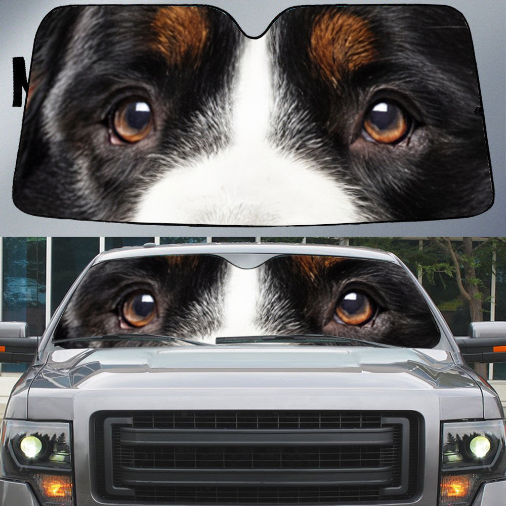 Bernese Mountain (2)'s Eyes-Beautiful Dog Eyes Car Sun Shade Cover Auto Windshield