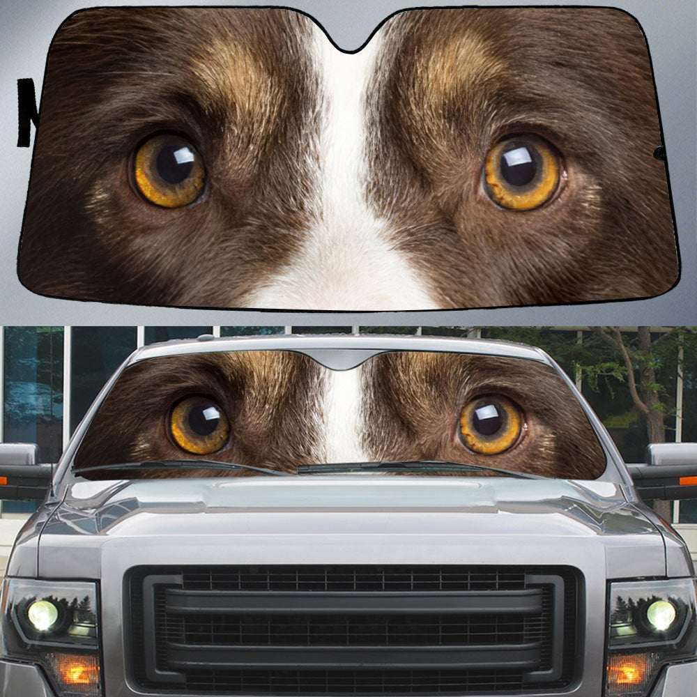 Bernese Mountain's Eyes-Beautiful Dog Eyes Car Sun Shade Cover Auto Windshield
