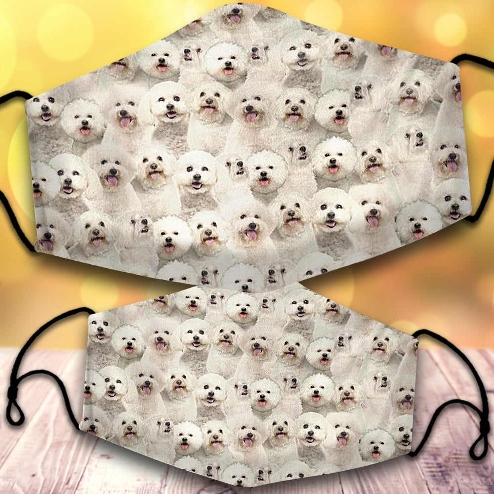 Bichon Frise-Full Veil