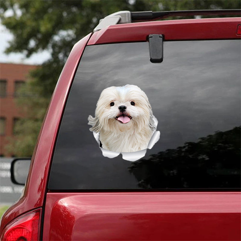 Cute Bichon Frise CRACK CAR STICKER