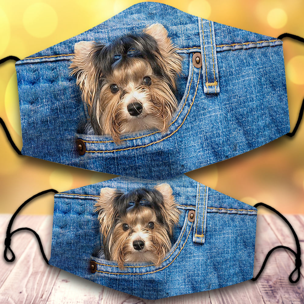 Biewer Terrier-In Pocket-Veil