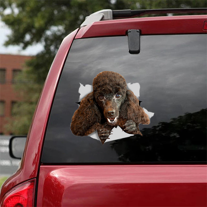 Cute Black Poodle CRACK CAR STICKER
