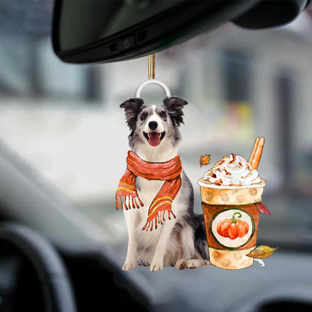 Blue Merle Collie-Pumpkin Spice Kinda-Two Sided Ornament