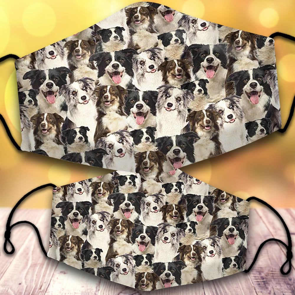 Border Collie-Full Veil