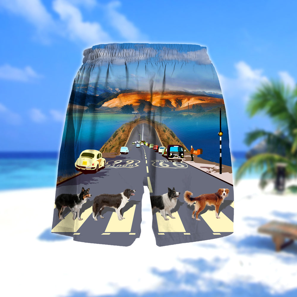 Border Collie Cross the road- Men Hawaii Beach Shorts