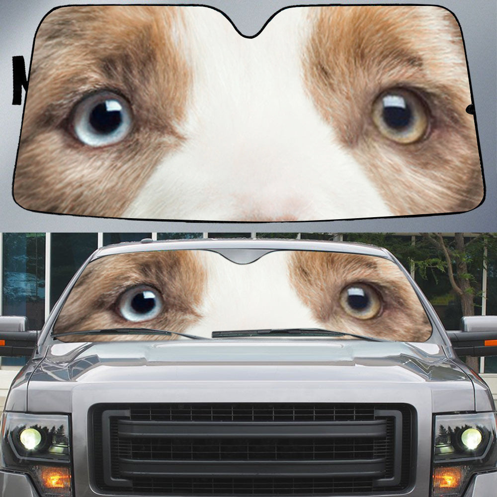 Border Collie (2)'s Eyes-Beautiful Dog Eyes Car Sun Shade Cover Auto Windshield