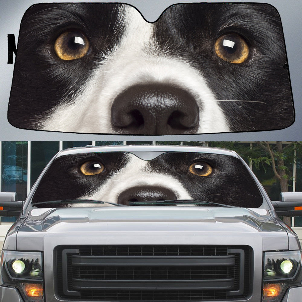 Border Collie (3)'s Eyes-Beautiful Dog Eyes Car Sun Shade Cover Auto Windshield