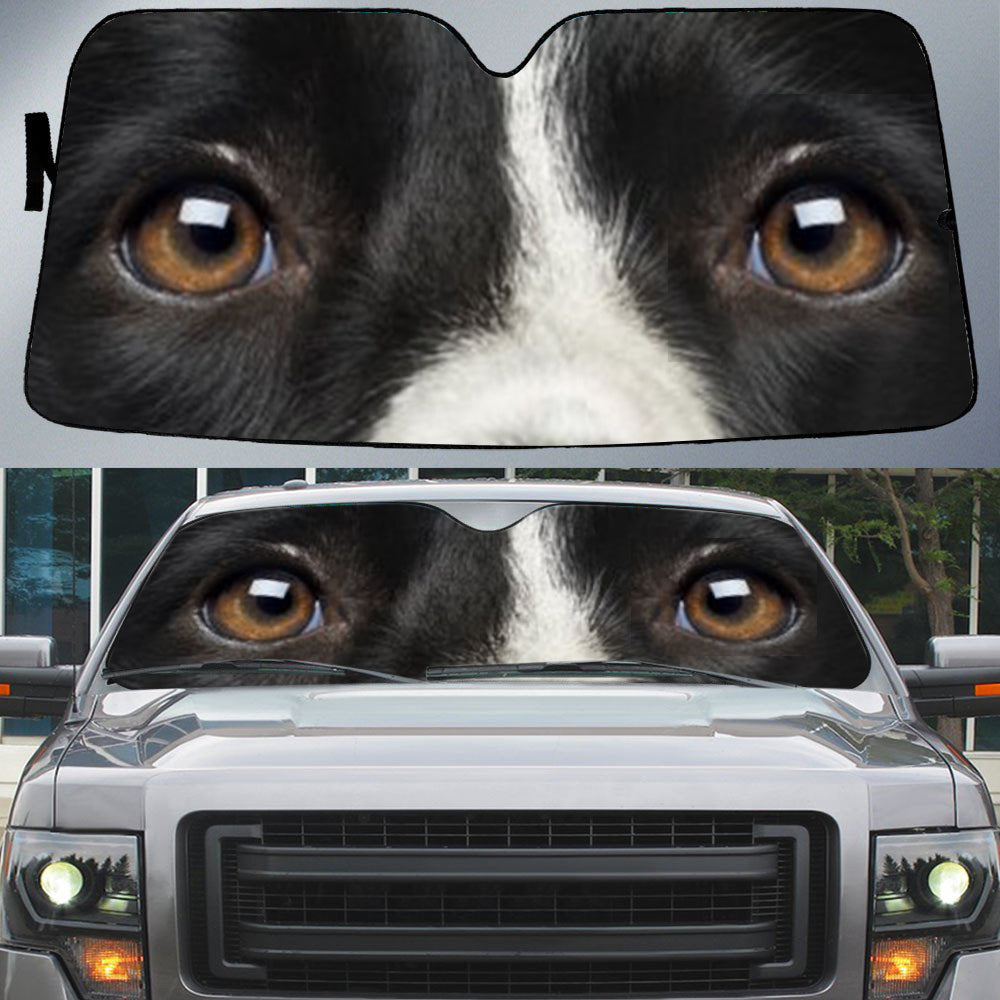 Border Collie's Eyes-Beautiful Dog Eyes Car Sun Shade Cover Auto Windshield
