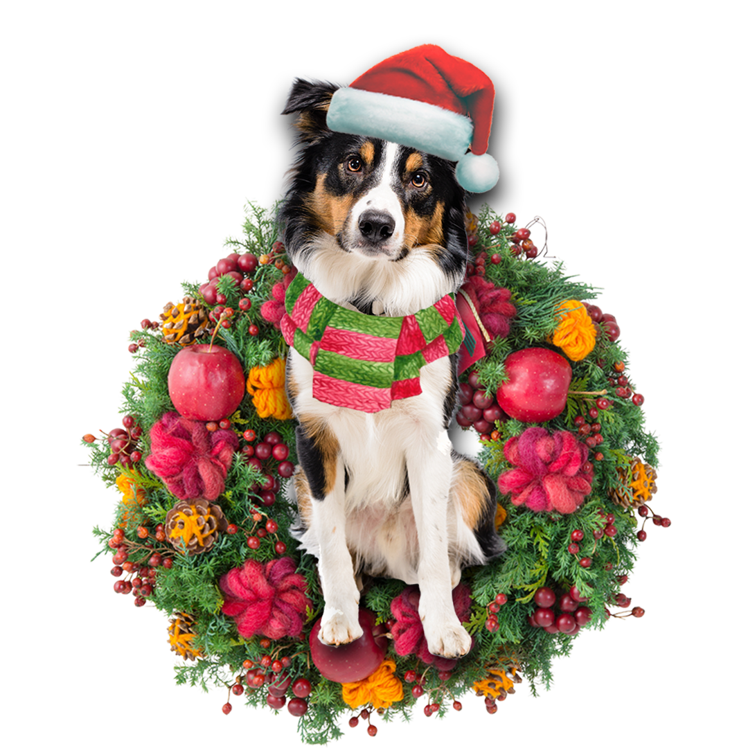 Border Collie Christmas Ornament