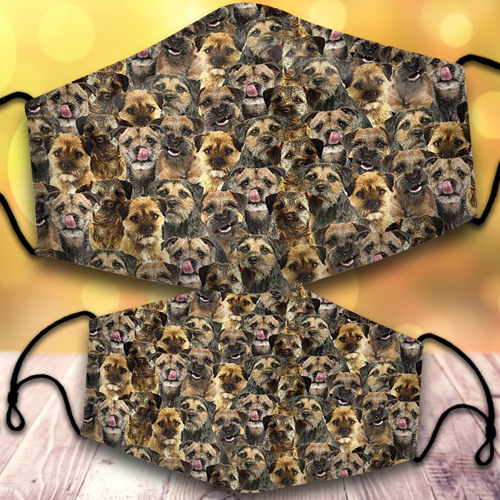 Border Terrier-Full Veil