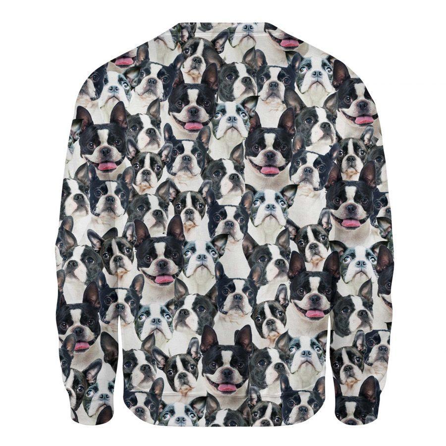 Boston Terrier - Full Face - Premium Sweatshirt